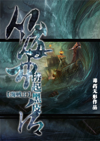 [海贼王]刺客法则免费阅读