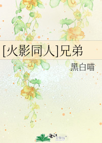 火影兄弟文