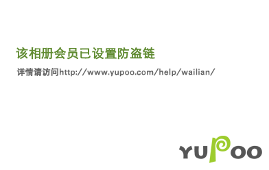 火影之永生之哀免费观看