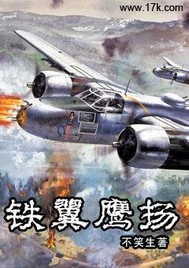铁翼鹰扬TXT下载