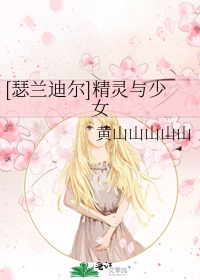 精灵王瑟兰迪尔小说