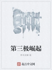 小说崛起之第三帝国