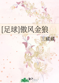 傲风金狼txt