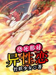 烧死那对异性恋小说