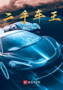 二手车王者