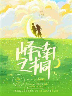 峄南之桐小圆镜 小说