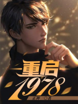 重启1978免费下载TXT