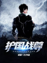 护国战尊林天