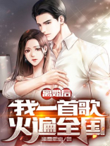 离婚后我一首歌火遍全国小说