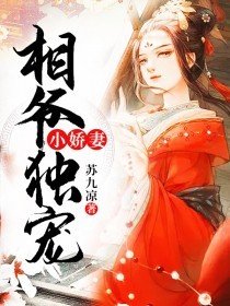 战爷独宠小娇妻全文阅读