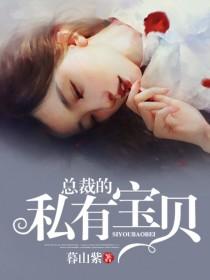 暖妻成瘾总裁的私有宝贝