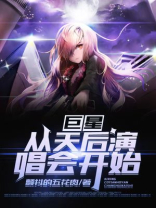 巨星:从天后演唱会开始小说下载