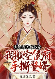 大婚当天被抄家?我搬空侯府手撕赘婿 青琉落尘作品