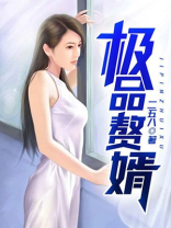 极品赘赘婿作者258