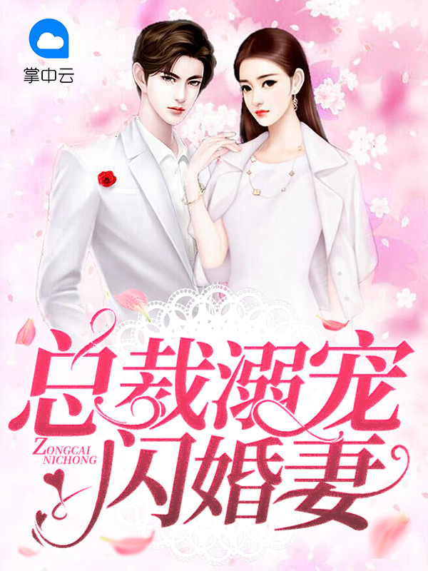 闪婚总裁花式宠妻
