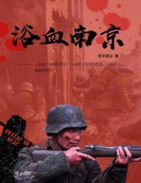 浴血南京 小说
