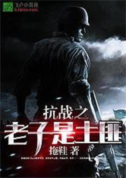 抗战之老子是士土匪下载