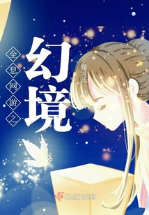 全息网游完结小说
