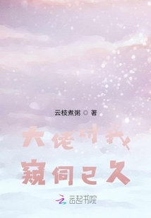 大佬对我蓄谋已久小说维他妈