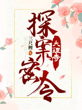 大理寺探案手记 小说