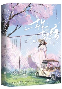 一枚小软糖小说开箱