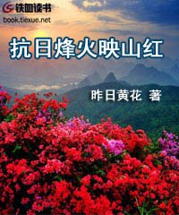 抗战太行山独立纵队