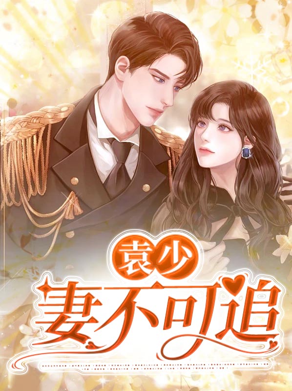 袁少妻不可追的小说