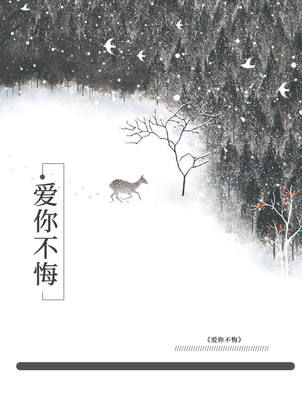 爱你不悔的模样 歌词