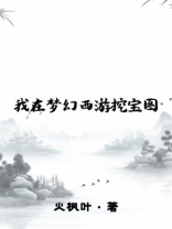 我在梦幻西游挖宝图 第174章
