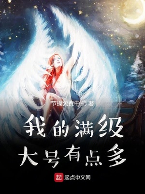 满级大号在异界百度百科