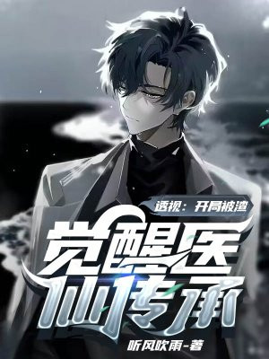 透视医仙免费阅读