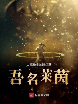 吾名莱茵TXT下载