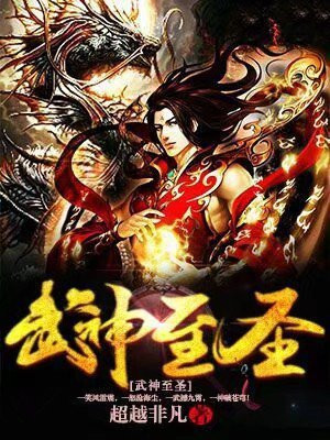 武神至圣 小说