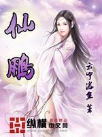 仙鹏散打冠军