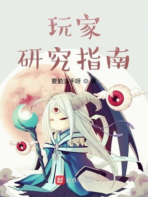玩家研究指南小说