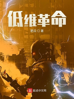 低维革命烂尾