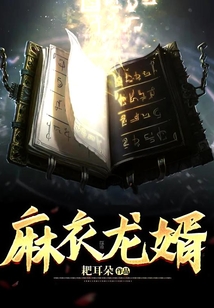 麻衣龙婿小说