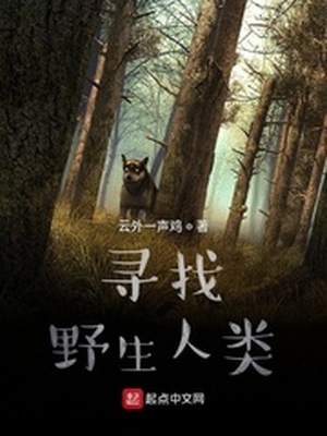 寻找野生天麻的技巧
