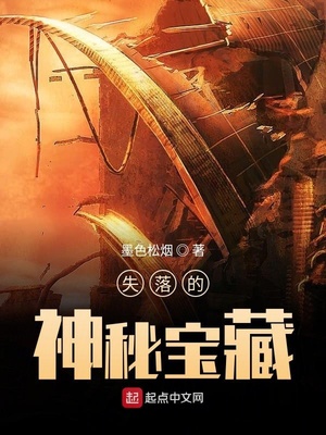 失落的神秘宝藏TXT