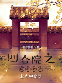 四合院之闫家老大完整版小说