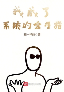 金手指和系统区别