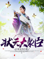 状元大枭臣 小说