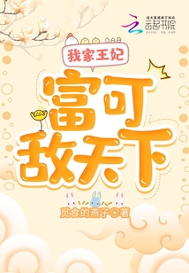 我家王妃富可敌天下