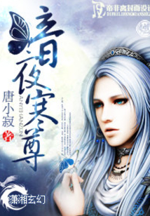 暗夜寒尊 小说txt