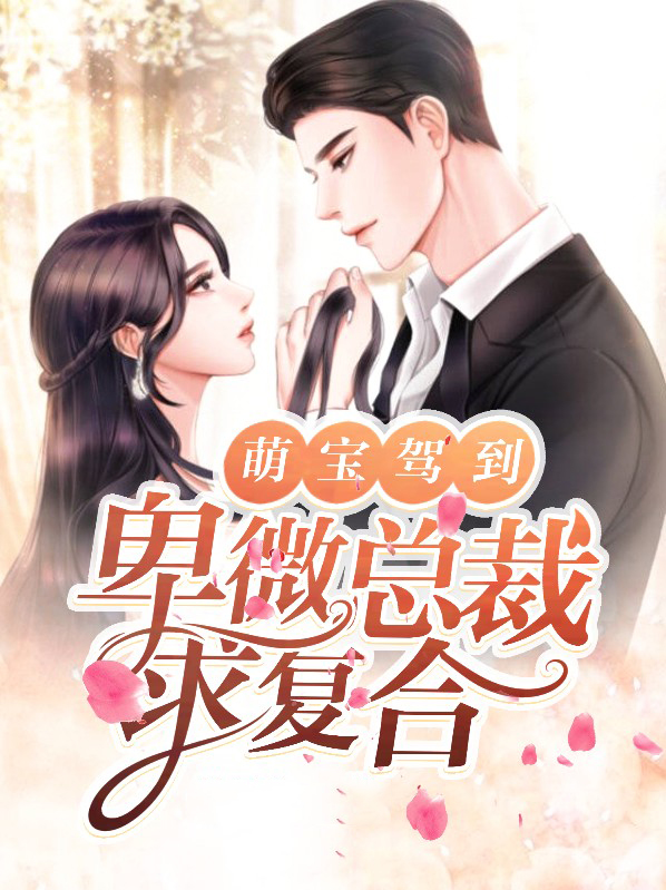 萌宝驾到总裁追妻路漫漫免费阅读