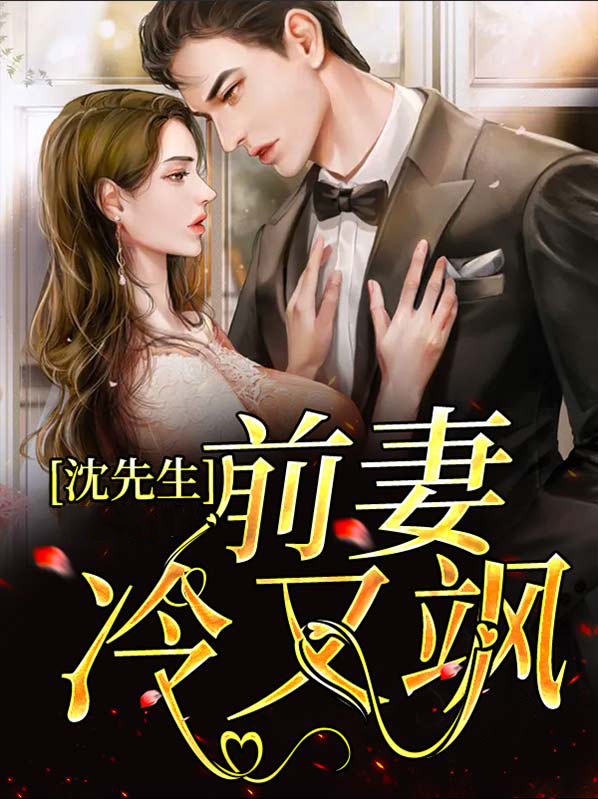 沈先生 小说