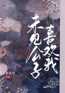 未见公子喜欢我全文免费阅读