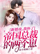 新婚夜,我怀了帝国总裁的两个崽 第1078章