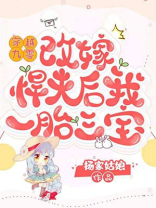 穿越九零,改嫁悍夫后我一胎三宝TXT全集下载