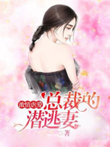 总裁的逃妻 小说